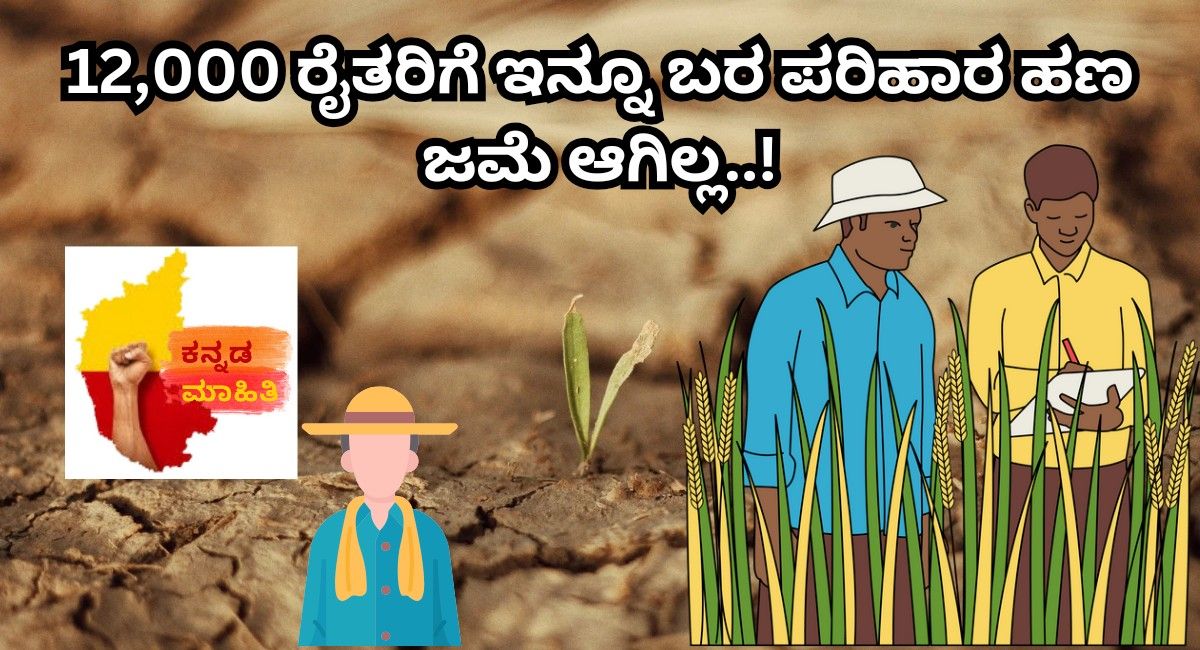 12000 farmers have not received relief money