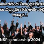 nsp scholarship 2024 apply online