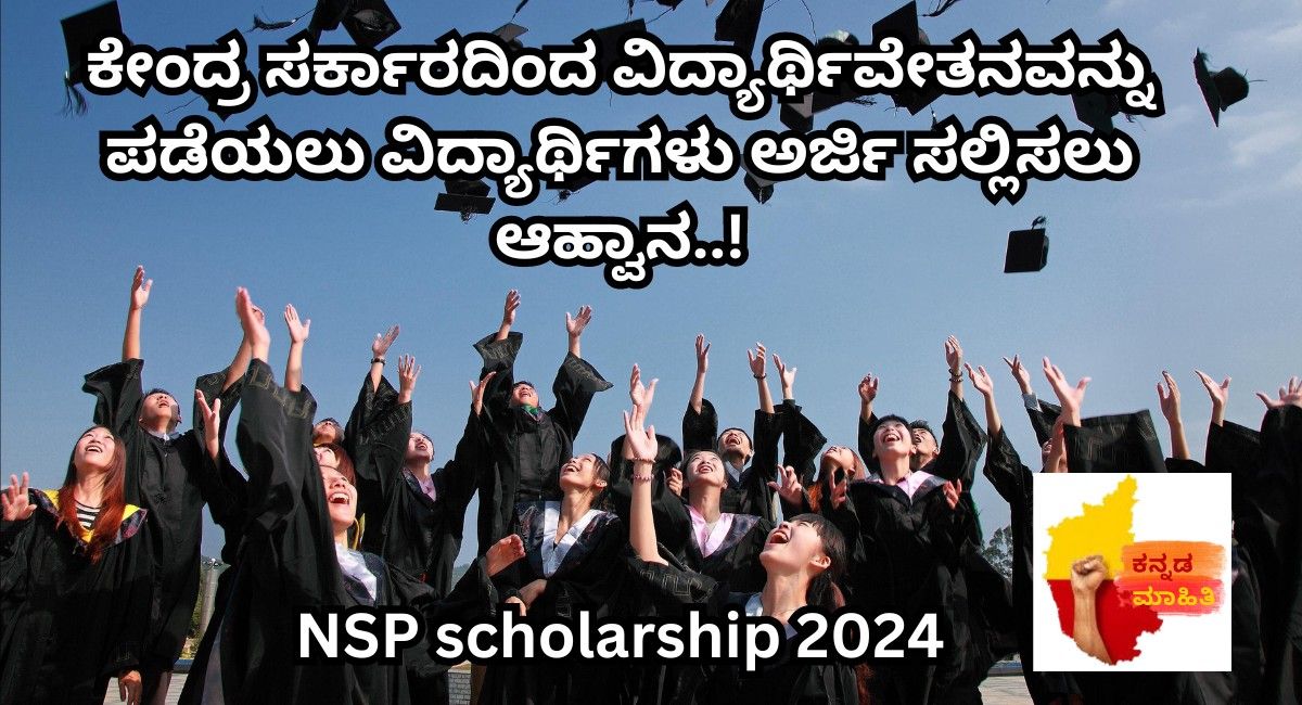 nsp scholarship 2024 apply online